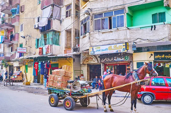 Il carro con verdure, Alessandria, Egitto — Foto Stock