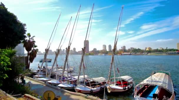 Der Yachtclub Der Corniche Nil Der Innenstadt Traditionelle Feluccas Schaukeln — Stockvideo