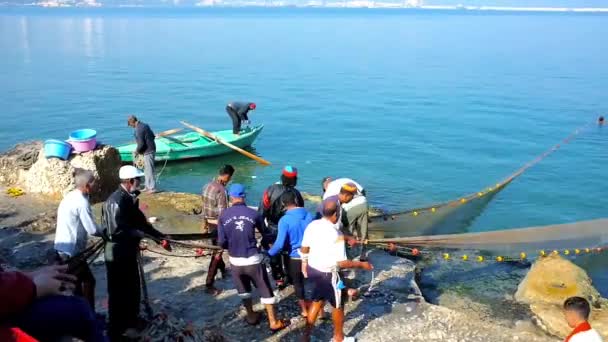 Alexandria Egito Dezembro 2017 Tripulação Pescadores Trabalho Pessoas Puxam Rede — Vídeo de Stock