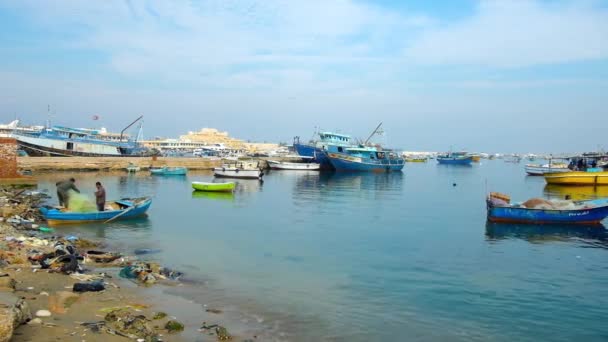 Alexandria Egipto Diciembre 2017 Puerto Oriental Gran Puerto Pesquero Ubicado — Vídeo de stock