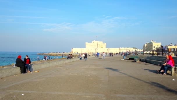 埃及亚历山大 2017年12月17日 风景秀丽海滨长廊在东部和西部海港之间结束与中世纪 Qaitbay 在12月17日在亚历山大 — 图库视频影像