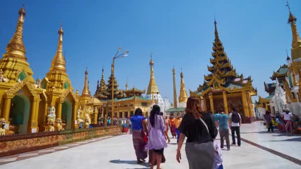 Yangon Myanmar Febbraio 2018 Numerosi Padiglioni Stupa Dorati Della Pagoda — Video Stock