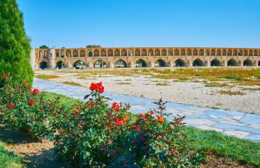 Köprünün arkasında gül çalılar, Isfahan, Iran