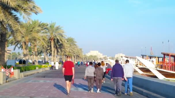 Доха Катар Февраля 2018 Года Променад Корниш Популярен Среди Туристов — стоковое видео