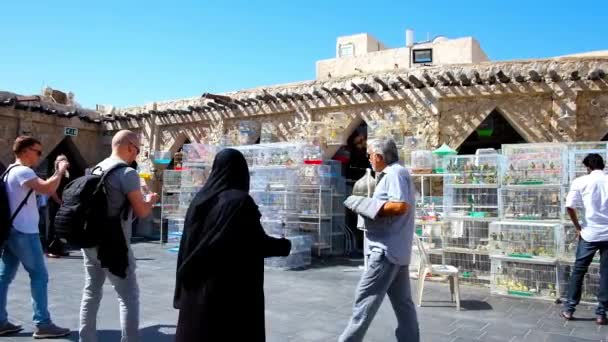 Doha Qatar Februari 2018 Birds Markt Belangrijk Vakgroep Authentiek Souq — Stockvideo