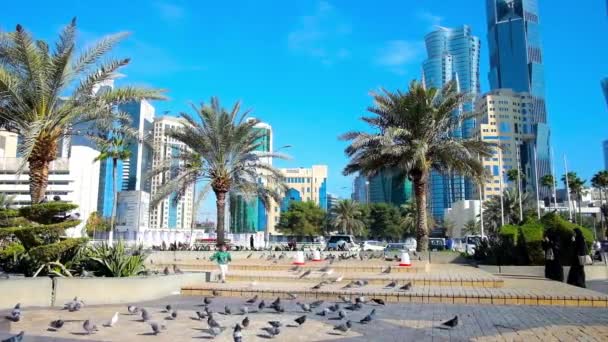 Doha Qatar Fevereiro 2018 Pequeno Garoto Persegue Pombos Passeio Corniche — Vídeo de Stock