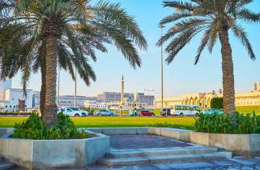 Doha, Katar palmiye sokakta