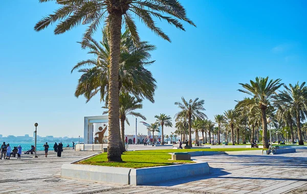 Palmeras en el paseo marítimo de Doha, Qatar — Foto de Stock