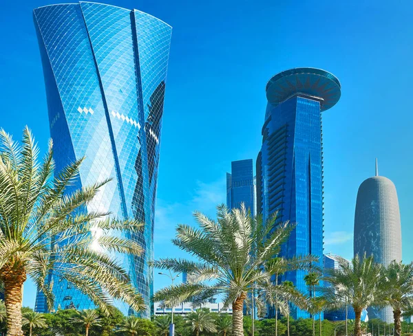 Skyscrapers and palms, Doha, Qatar