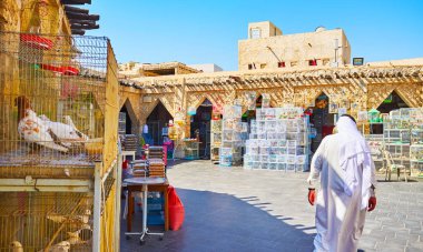 Evde beslenen hayvan kuş, Souq Waqif, Doha, Katar seçin