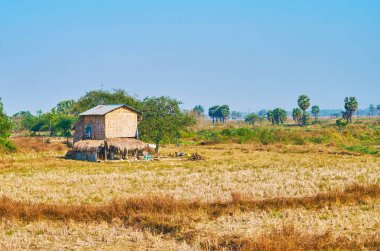 Farmer'ın evi, Bago bölge, Myanmar