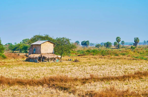Farmer'ın evi, Bago bölge, Myanmar