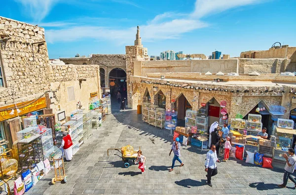 Doha, カタールの鳥市場全景 — ストック写真