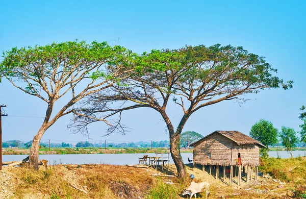 Dom na palach nad rzeką, Myanmar — Zdjęcie stockowe