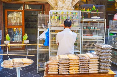 Evcil hayvan dükkanında Souq Waqif, Doha, Qatar