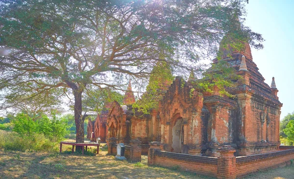 Храмы под деревом — стоковое фото