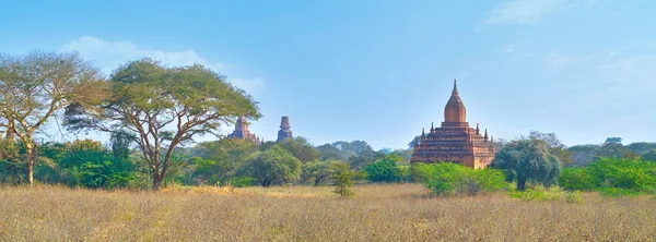 Panorama Bagan Plain — Stock fotografie