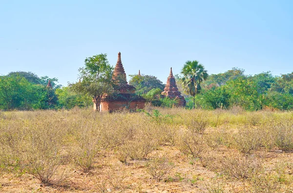 Stupas στο δάσος — Φωτογραφία Αρχείου