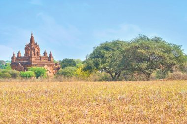 Tapınağın arkasında alan Bagan, Myanmar