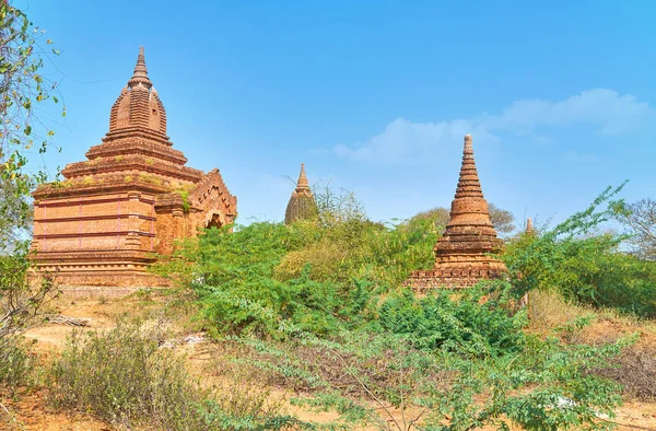 Η κατάφυτη ναούς της Bagn, Μιανμάρ — Φωτογραφία Αρχείου