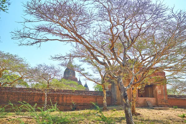 Les murs du temple Nagayon à Bagan, Myanmar — Photo