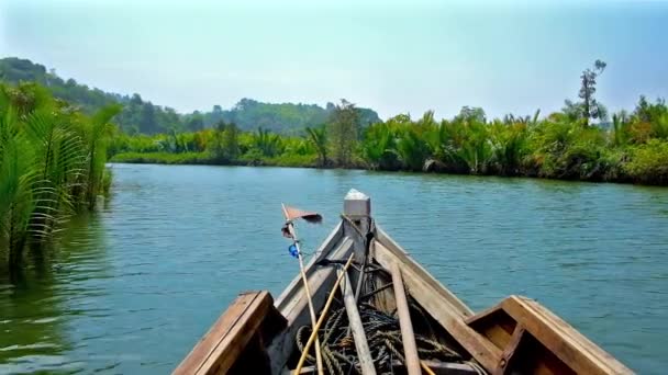 ミャンマー本山義川のほとりに潮のマングローブ林のユニークな性質を探求するが股関節からのカヌーの旅 — ストック動画