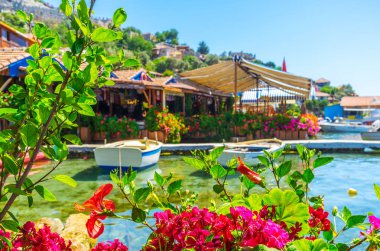 Kaleköy sahil yoluyla çiçekler, Kekova, Türkiye