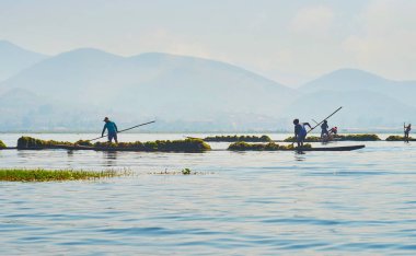 Ot toplayıcıları, Inle Lake, Myanmar