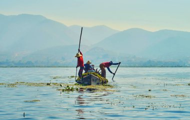 Lake Weeds ile Kano, Inle Lake, Myanmar