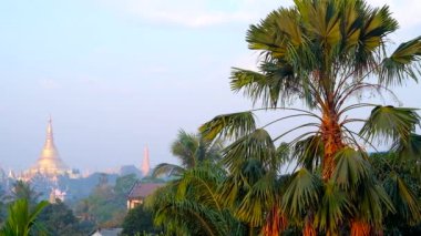 Işık sabah sis Shwedagon Zedi Daw tapınakta altın stupa Bahçe, Yangon, Myanmar yeşillikler görülür.