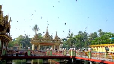 Yangon, Myanmar - 27 Şubat 2018: Tarih 27 Şubat Yangon yapılan giriş kapısı üzerinde uçan güvercinler, sürüsü Zayer Yar Aung Myay manastır avlusunda gölet ve köprüleri ile görünümünden.