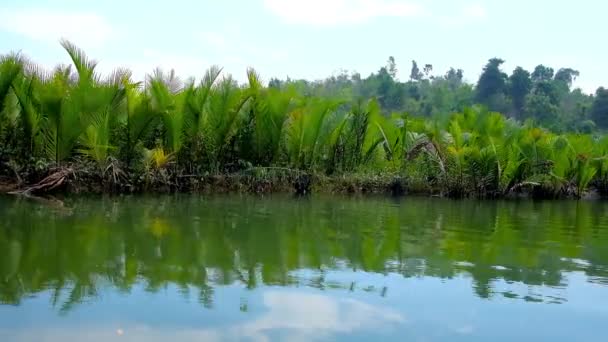 Kangy Nehri Üzerinde Doğal Mangroves Turist Tatil Köyleri Ziyaret Bengal — Stok video