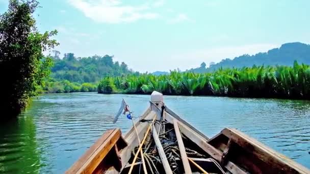 Viaggio Sul Vecchio Kayak Tra Lussureggianti Foreste Mangrovie Sul Fiume — Video Stock