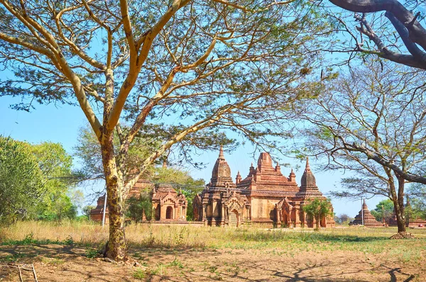 Среди деревьев Багана, Мьянма — стоковое фото