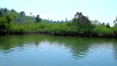 Mangrov ormanları Kangy Nehri üzerinde ekoturizm severler Chaung Tha turistik Köyü, Myanmar arasında popüler hedef çalılıkları.
