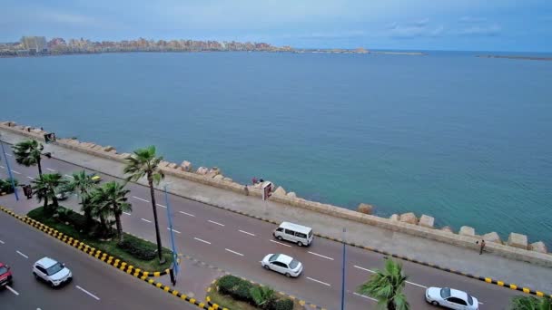 埃及亚历山大 2017年12月19日 沿着海滨海滨海滨长廊的快速清晨交通 在背景上有一个关于东港和 Qaitbay 堡垒的看法 12月19日在亚历山大 — 图库视频影像