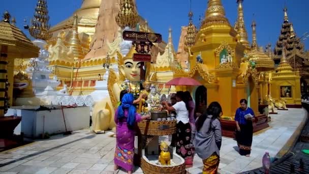 仏教信者が仏像 ヤンゴンでの背景の素晴らしい黄金仏塔シュエダゴン パゴダで入浴の儀式を実行ヤンゴン ミャンマー 2018 — ストック動画