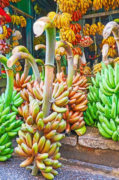 Kolorowe banany, Yangon, Myanmar — Zdjęcie stockowe
