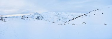 Beyaz sonsuzluk, Feuerkogel Dağı yaylası, Ebensee, Salzka
