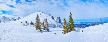 Feuerkogel Dağı 'ndan Alberfeldkogel Dağı ile Panorama