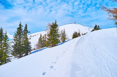 Feuerkogel Dağı, Ebensee, Salzkammergut, Avusturya