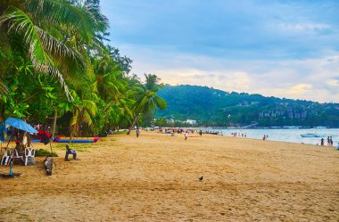 Patong sahilindeki yeşillik, Phuket, Tayland