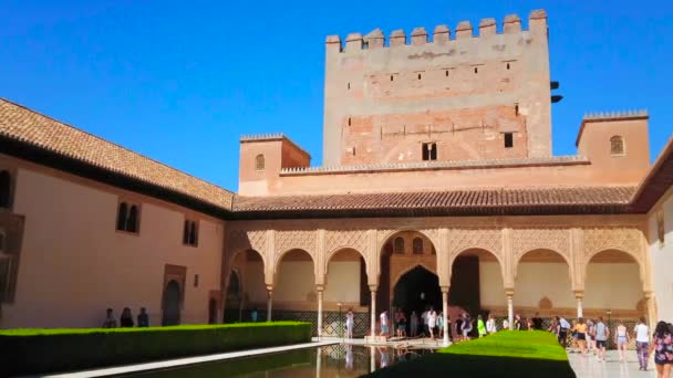Granada Spanien September 2019 Historischer Myrtenhof Nasridenpalast Alhambra Mit Topiären — Stockvideo