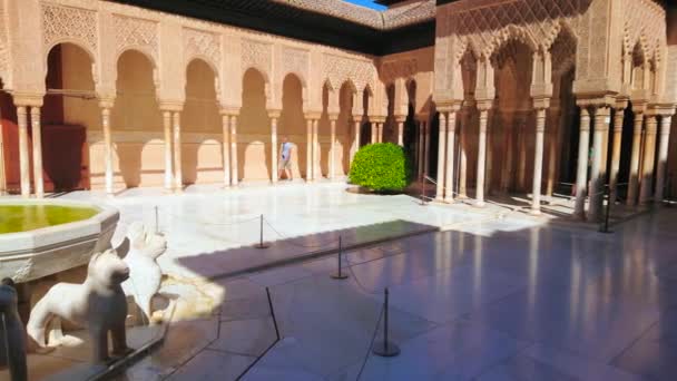 Granada Spain September 2019 Panorama Medieval Court Lions Nasrid Palace — 비디오