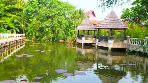 Chiang Mai Tailandia Mayo 2019 Panorama Del Jardín Del Templo — Vídeo de stock