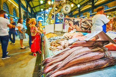Abastos Market 'teki taze balık, Jerez, İspanya