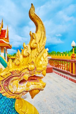 The close-up of Naga serpent hread, Wat Chalong, Chalong, Phuket