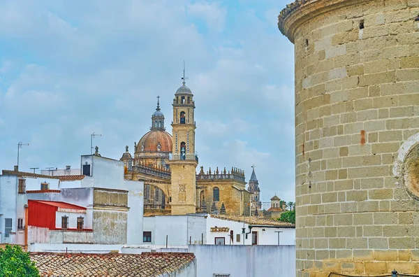 Jerez Cathedral from the Old Town, Spain — ストック写真
