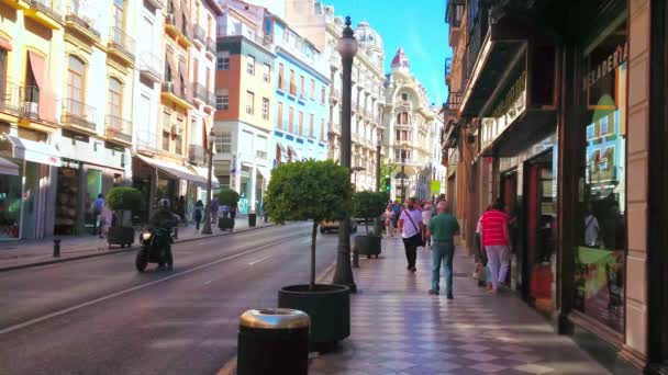 Granada España Septiembre 2019 Vibrante Vida Concurrida Calle Comercial Reyes — Vídeo de stock