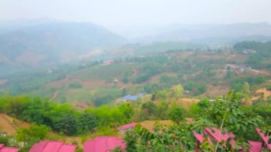 Chiang Rai banliyösünün sisli dağ manzarası Mae Salong Çin Yunnan çay köyü zümrüt çay tarlaları, Tayland